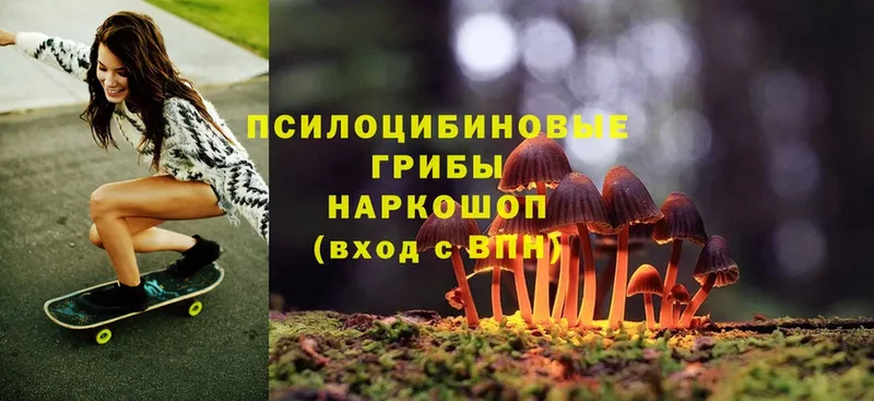 блэк спрут онион  Калязин  Псилоцибиновые грибы Magic Shrooms 